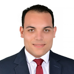Mohamed Hammad, Electrical Site Engineer