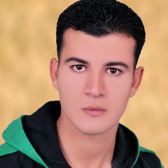 عبدالباسط ابورماد, Quality Controller