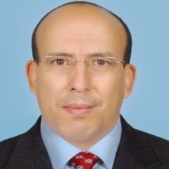 Moulay Elhassan Daoudi