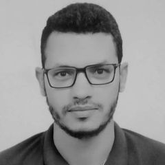 مصطفى صبري حسن  محمد , Document Controller