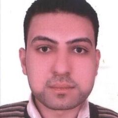 محمد عفيفي, مدخل بيانات 