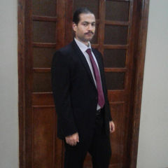 Alaa aldien Sayed Aboalhasan Ahmed Ali, معلم رياضيات
