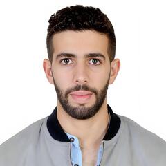 محمد أمين اركيكي, مساعد خبير قضائي 