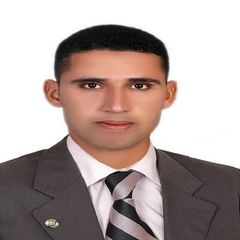 محمد خميس انور ابراهيم, مدرس دكتور (عضو هيئة تدريس)
