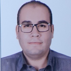 عمرو مصطفى فايز فؤاد, Senior Accountant