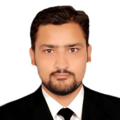 Ali Hussain, Software Engineer
