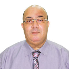 Essam Mohamed Al-Hoseny AbdEelrazek Al-Hanafi, Technical Consultant