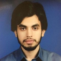 Hussain Maqsood, Software Engineer (Web Developer)