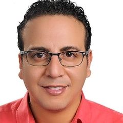 Mohammed Ellaimony, MEP Project Manager