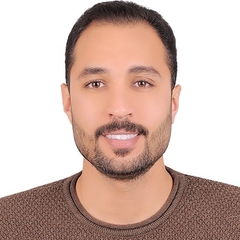 Mohamed Elsaied Abo Elyazeed