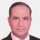 Ashraf Roshdy, Finance Manager