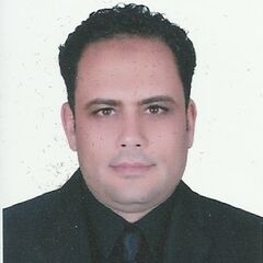 Mostafa Hassan Ahmed, Sales Manager