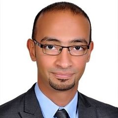 Ahmed Hassanein, Sr. Accountant