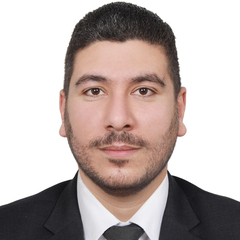 محمد على محمد طولان, Financial Accountant