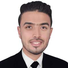 Mohammed Abd Elmounsef Elhadidi, Electrical Engineer