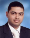 عماد غالي, Chief Accountant