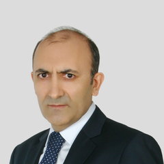 Metin TOPRAK, Professor of economics