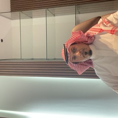 Ahmed Moharram, CEO