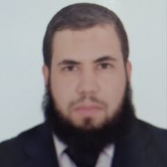 Mostafa Adel, محاسب عام