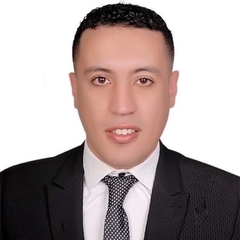 Mohamed Gaballa, It Systems Engineer