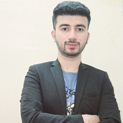 Ali Haider, ecommerce web developer
