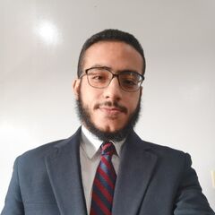 Omar Abouelezz, Accountant & IT 