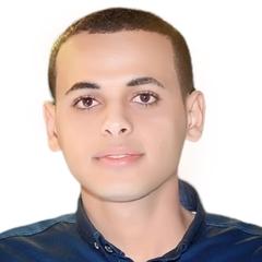 Mohamed  Elsayed Mohamed Mohamed 