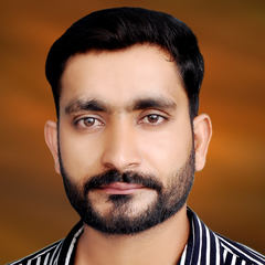 bilal Hussain Hussain