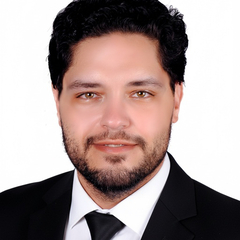 Karim Eldib, chief accountant