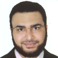 Mahmoud Mohsen Shawkat, freelance software engineer