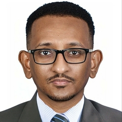 Ahmed Mustafa Abdo Ahmed,  Senior Manager - Applications Architect