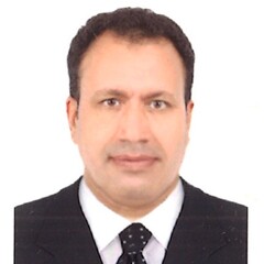 ali hassan, MEP Manager