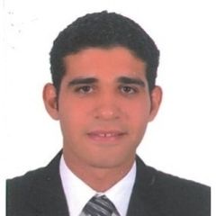 أحمد حسن عبد الحميد حسن, مهندس مكتب فنى تنفيذى