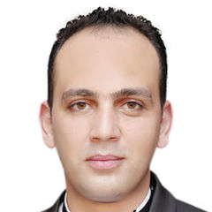 Mohamed Samy Ahmed Ahmed Ibrahim, Document Controller