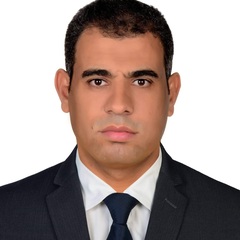 ahmed allam, Project Manager