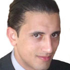 mahmoud safi, Senior Developer (team leader)