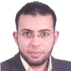 salah Eldin Ibrahim, مسؤول عام الحاسب الآلي