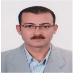 Alaa Mourad, Oracle Implementation Controller& Business Analyst