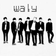 ahmed elmagwary waly waly