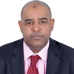 Faisal Imam, Audit Supervisor