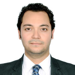 Ahmed Abdelsalam, Sales Manager