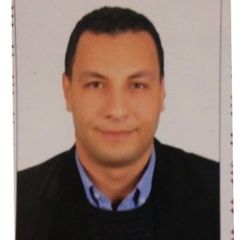 Mohamed Sobhy, lawyer