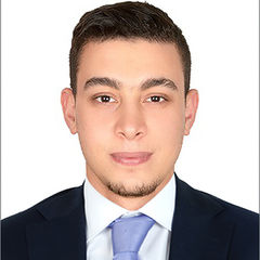 أمين mouzaa, Sales & Marketing Assistant