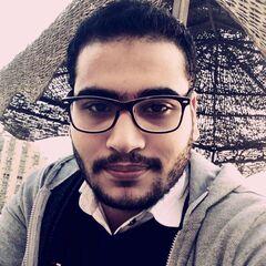 Muhammad Habeeb, Software Engineering Team Lead