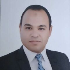 Mohamed  Abdel Fattah Elsamalegy