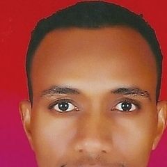 Montaser Abdelrahman, مسئول شئون ادارية