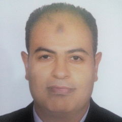 Hany Zakaria Ali Salem Elyasergy YASERGY, 	Group Chief Accountant at NAFT KSA company from july 2017 till now