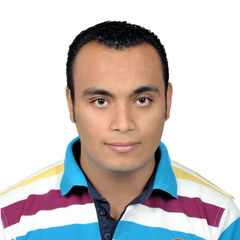 Baher Abdelmalek, civil site engineer