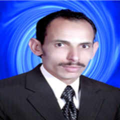 Ibrahim Abdel Salam Abdel Magid Atia, مسئول مبيعات