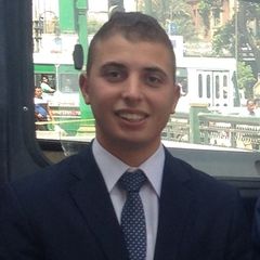 walid mohamed Refaey